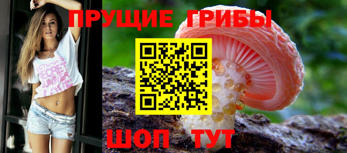 Псилоцибиновые грибы мухоморы  Вход с VPN  Галлюциногенные грибы ЛСД  Новокубанск 