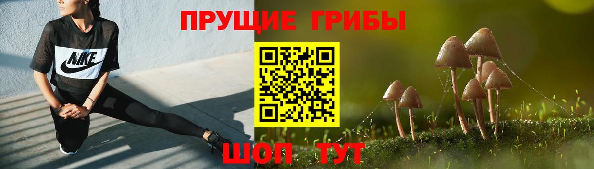 Псилоцибиновые грибы Magic Shrooms Новокубанск
